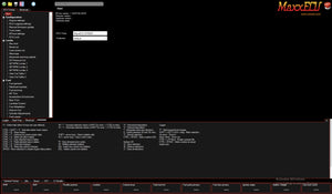 MaxxECU Port Injection Controller Calibration